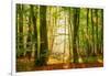 Power Beam-Lars Van de Goor-Framed Photographic Print