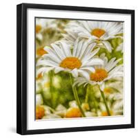 Power Flower-Viviane Fedieu Daniel-Framed Photographic Print