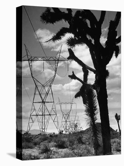 Power Line That Carries Current from Hoover Dam to Los Angeles, in Mojave Desert-Loomis Dean-Stretched Canvas