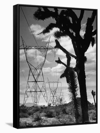 Power Line That Carries Current from Hoover Dam to Los Angeles, in Mojave Desert-Loomis Dean-Framed Stretched Canvas