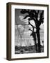 Power Line That Carries Current from Hoover Dam to Los Angeles, in Mojave Desert-Loomis Dean-Framed Photographic Print