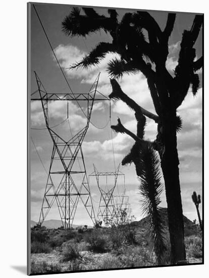 Power Line That Carries Current from Hoover Dam to Los Angeles, in Mojave Desert-Loomis Dean-Mounted Photographic Print