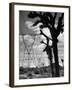 Power Line That Carries Current from Hoover Dam to Los Angeles, in Mojave Desert-Loomis Dean-Framed Photographic Print