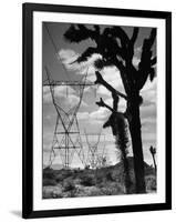 Power Line That Carries Current from Hoover Dam to Los Angeles, in Mojave Desert-Loomis Dean-Framed Photographic Print