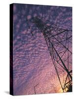 Power Line Tower-Mitch Diamond-Stretched Canvas