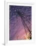 Power Line Tower-Mitch Diamond-Framed Photographic Print