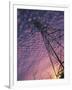 Power Line Tower-Mitch Diamond-Framed Photographic Print