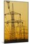 Power lines in morning light, Germany, Europe-Hans-Peter Merten-Mounted Photographic Print