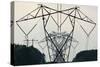 Power Lines, Mount Storm, West Virginia-Paul Souders-Stretched Canvas