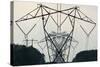 Power Lines, Mount Storm, West Virginia-Paul Souders-Stretched Canvas