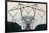 Power Lines, Mount Storm, West Virginia-Paul Souders-Framed Photographic Print