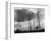 Power Lines, San Francisco, 1937-Brett Weston-Framed Photographic Print