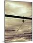 Power Lines-Steve Allsopp-Mounted Photographic Print