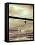 Power Lines-Steve Allsopp-Framed Stretched Canvas