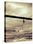 Power Lines-Steve Allsopp-Stretched Canvas