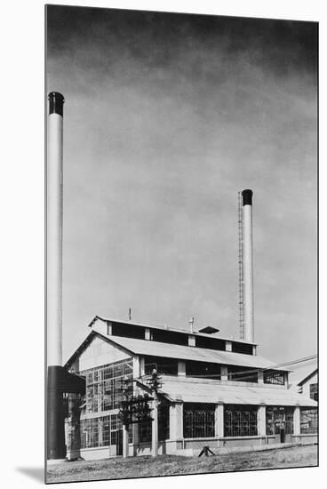 Power Plant with Two Smokestacks-null-Mounted Premium Photographic Print