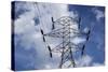 Power Pylon, Stevens Pass, Washington-Paul Souders-Stretched Canvas