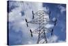 Power Pylon, Stevens Pass, Washington-Paul Souders-Stretched Canvas