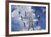 Power Pylon, Stevens Pass, Washington-Paul Souders-Framed Photographic Print