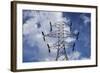 Power Pylon, Stevens Pass, Washington-Paul Souders-Framed Photographic Print