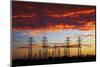 Power pylons at sunset, Christchurch, Canterbury, South Island, New Zealand-David Wall-Mounted Photographic Print