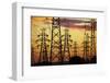 Power pylons at sunset, Christchurch, Canterbury, South Island, New Zealand-David Wall-Framed Photographic Print