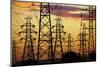 Power pylons at sunset, Christchurch, Canterbury, South Island, New Zealand-David Wall-Mounted Photographic Print