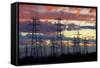 Power pylons, Christchurch, Canterbury, South Island, New Zealand.-David Wall-Framed Stretched Canvas