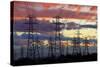 Power pylons, Christchurch, Canterbury, South Island, New Zealand.-David Wall-Stretched Canvas