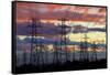 Power pylons, Christchurch, Canterbury, South Island, New Zealand.-David Wall-Framed Stretched Canvas