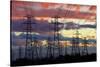 Power pylons, Christchurch, Canterbury, South Island, New Zealand.-David Wall-Stretched Canvas