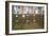 Power Station Controls-Nathan Wright-Framed Photographic Print