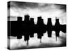 Power Station-Craig Roberts-Stretched Canvas