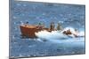 Powerboat on the Ocean-null-Mounted Art Print