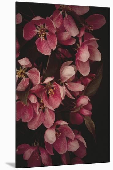 Powerful Petals-Irene Suchocki-Mounted Giclee Print