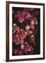 Powerful Petals-Irene Suchocki-Framed Giclee Print