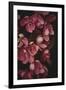 Powerful Petals-Irene Suchocki-Framed Giclee Print