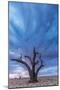 Powerful Skies-Catherina Unger-Mounted Giclee Print