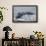 Powerful Tail of a Humpback Whale-DLILLC-Framed Photographic Print displayed on a wall