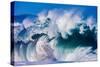 Powerful wave breaking off a beach, Hawaii-Mark A Johnson-Stretched Canvas