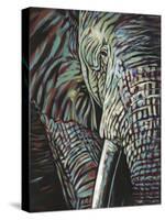 Powerful Wildlife I-Carolee Vitaletti-Stretched Canvas