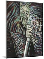 Powerful Wildlife I-Carolee Vitaletti-Mounted Art Print