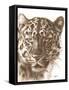 Powerful-Barbara Keith-Framed Stretched Canvas
