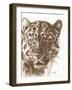 Powerful-Barbara Keith-Framed Giclee Print