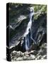 Powerscourt Waterfall, County Wicklow, Leinster, Eire (Republic of Ireland)-Philip Craven-Stretched Canvas