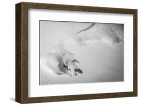 Powradise-Benjamin Trévillot-Framed Photographic Print