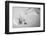 Powradise-Benjamin Trévillot-Framed Photographic Print