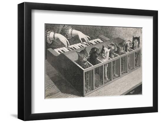 Photographic Print, , large