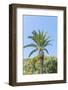 Pozzarello, near Porto Santo Stefano-Guido Cozzi-Framed Photographic Print