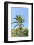 Pozzarello, near Porto Santo Stefano-Guido Cozzi-Framed Photographic Print